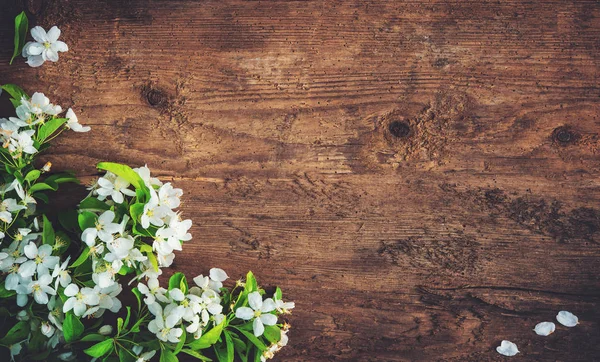 Spring blooming branches on wooden background — Stock Photo, Image