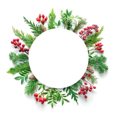 Kış köknar dalları, koniler, çobanpüskülü ve 