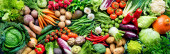Potravinové zázemí se sortimentem čerstvé ekologické zeleniny