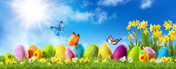 Colorful Easter Eggs Green Grass Spring Flowers Butterfly Front Sunny — Stock Photo, Image