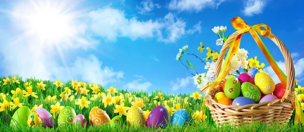 Colorful Easter Eggs Green Grass Basket Spring Flowers Front Sunny — Stock Photo, Image