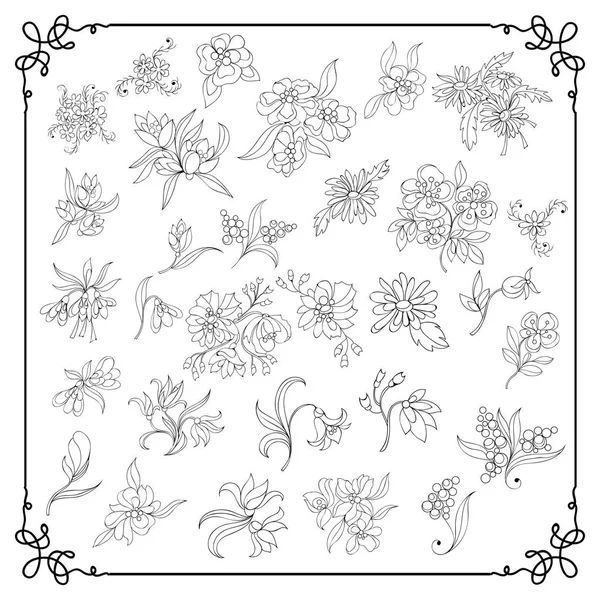 Grafische afbeelding met florale elementen _set 4 — Stockvector