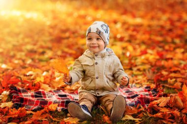 küçük çocuk sonbahar parkta yürüyor