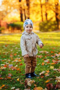 küçük çocuk sonbahar parkta yürüyor