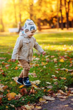 küçük çocuk sonbahar parkta yürüyor