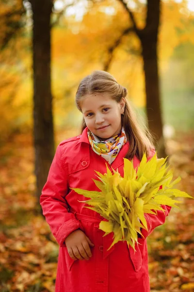Mädchen spaziert im Herbstwald — Stockfoto