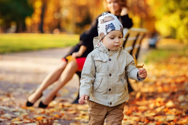Glückliche Mutter und Sohn spazieren im Herbstpark — Stockfoto