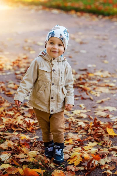 küçük çocuk sonbahar parkta yürüyor