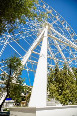 Lunaparktaki dönme dolap