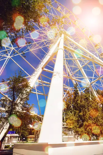 A Ferris wheel in an amusement park — Stock Photo, Image