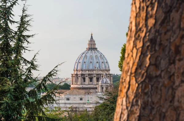 Olarak görülen Gianicolo tepeden, Roma, İtalya, Vatikan