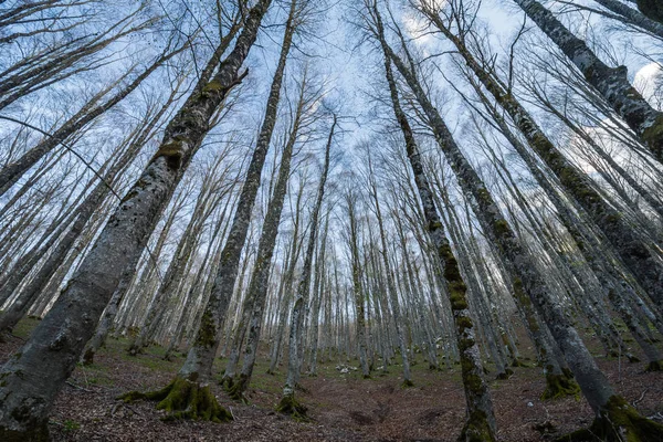 Forca d 'Acero, İtalya Ciociaria' dan Parco Nazionale d 'Abruzzo' ya giriş izni