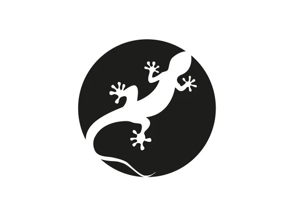 Gecko vektör çizim