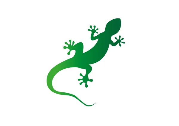 Gecko vektorillustration — Stock vektor