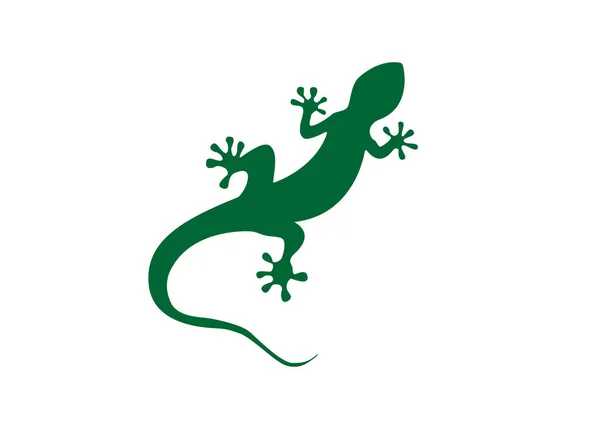 Gecko vektorillustration — Stock vektor