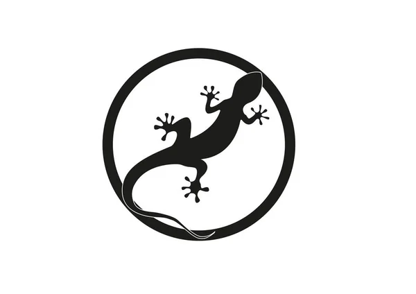 Gecko vektör çizim