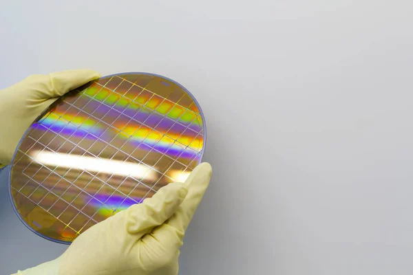 Siliciumwafer wordt in de handen gehouden door handschoenen - Een wafer is een dun plakje halfgeleidermateriaal, zoals een kristallijn silicium, dat wordt gebruikt in elektronica voor de vervaardiging van geïntegreerde schakelingen. — Stockfoto