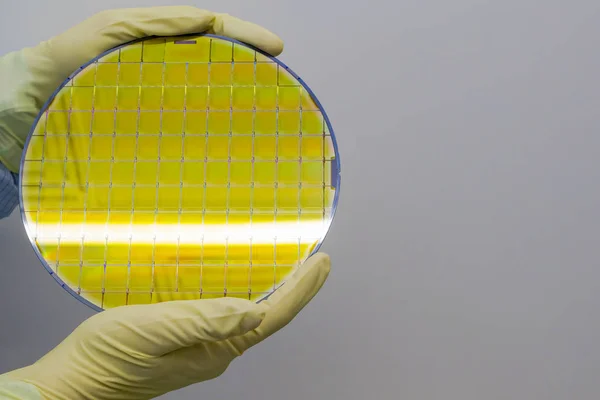Silicon Wafer is held in the hands by gloves - A wafer is a thin slice of semiconductor material, such as a crystalline silicon, used in electronics for the fabrication of integrated circuits.