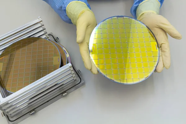 Wafer di silicio in scatola portacavi in acciaio estraibili a mano in guanti- Una wafer è una sottile fetta di materiale semiconduttore, come un silicio cristallino, la fabbricazione di circuiti integrati . — Foto Stock