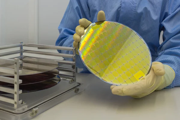 Silicon Wafers in steel holder box take out by hand in gloves- A wafer is a thin slice of semiconductor material, such as a crystalline silicon, fabrication of integrated circuits. — ストック写真