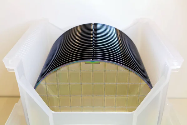 화이트 플라스틱 홀더 박스에 있는 실리콘 와퍼 (Silicon Wafers in white plastic holder box on a table- A wafer) 는 집적회로의 제조를 위해 전자 공학에 사용되는 결정 실리콘 과같은 얇은 반도체 조각이다.. — 스톡 사진