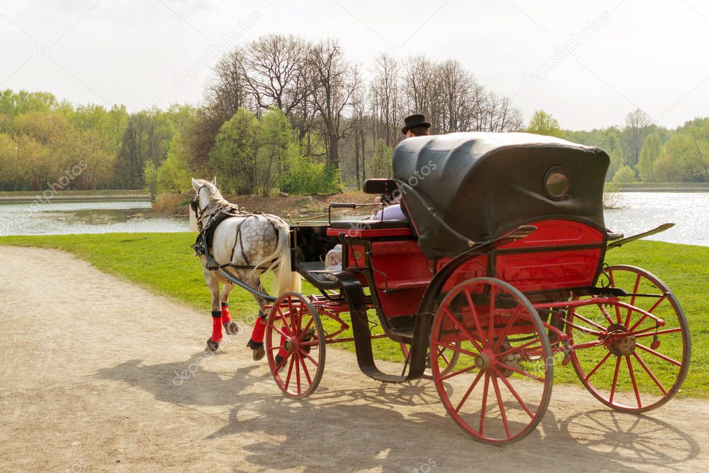 Coachman in cloak sits in coach with horse and hold reins in spring park