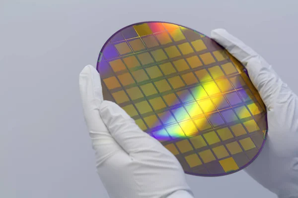 Hands in white gloves holding a silicon wafer on a white background.