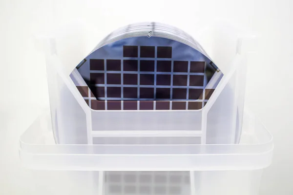 Obleas de silicio en caja de plástico blanco en una mesa- Una oblea es una rebanada delgada de material semiconductor, como un silicio cristalino, utilizado en electrónica para la fabricación de circuitos integrados. — Foto de Stock