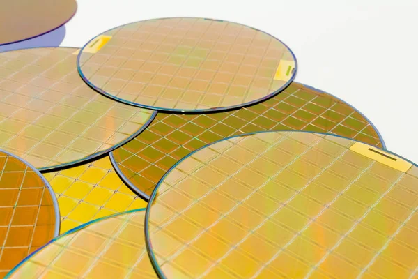 Birçok Silikon Gofreti üç tip - mikroçipli altın renkli wafes — Stok fotoğraf