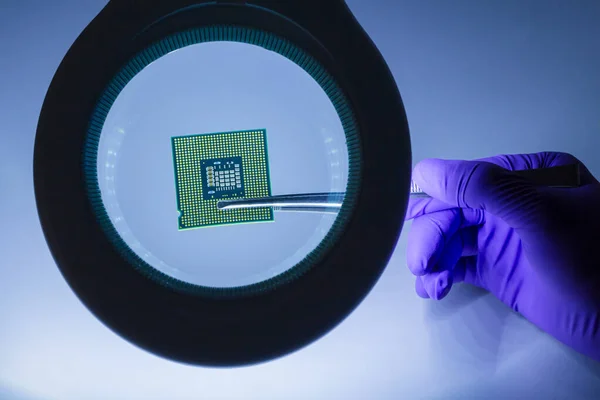 Guante púrpura de mano que sostiene el microchip con un par de pinzas bajo lupa. Enfoque en chip. — Foto de Stock