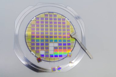 Silicon wafer with microchips, fixed in a holder with a steel frame on a gray background after the process of dicing. Microchip separation with tweezer. clipart