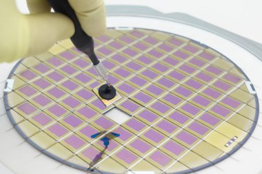 Silicon wafer with microchips, fixed in a holder with a steel frame on a gray background after the process of dicing. Microchip separation with tweezer in hand. clipart
