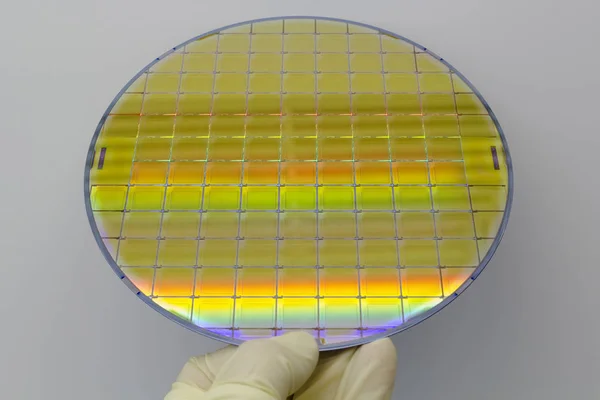 Bolachas e Microcircuitos de Silício - Uma bolacha é uma fatia fina de material semicondutor, como um silício cristalino, usado em eletrônica para a fabricação de circuitos integrados . — Fotografia de Stock