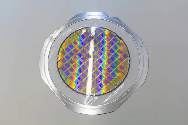 Silicon wafer with microchips fixed in the holder with steel frame on the grey background and ready for process . — 스톡 사진