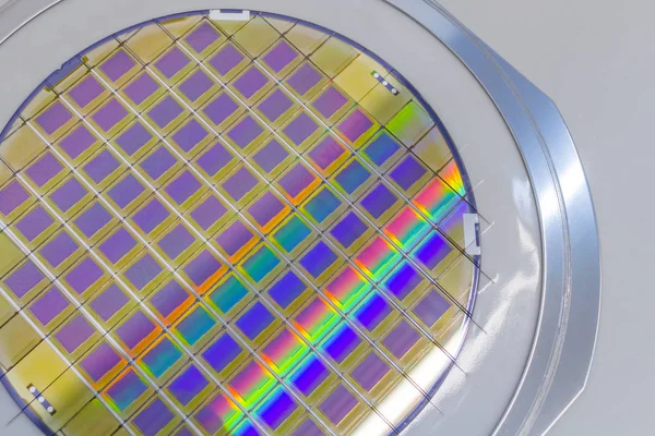 Oblea de silicio con microchips fijados en el soporte con marco de acero sobre fondo gris y listos para el proceso  . — Foto de Stock