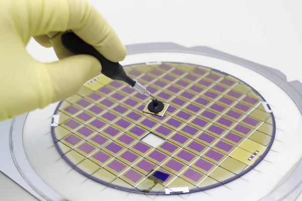 Silizium-Wafer mit Mikrochips, der nach dem Würfeln in einer Halterung mit Stahlrahmen auf grauem Hintergrund fixiert wird. Mikrochip-Trennung mit Pinzette in der Hand. — Stockfoto