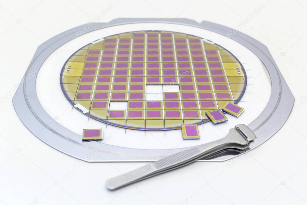 Silicon wafer with microchips, fixed in a holder with a steel frame on a gray background after the process of dicing. Microchip separation with tweezer.