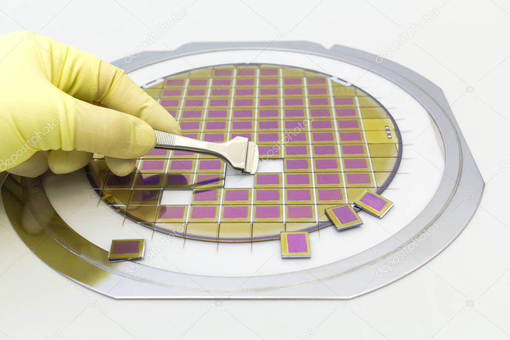Silicon wafer with microchips, fixed in a holder with a steel frame on a gray background after the process of dicing. Microchip separation with tweezer in hand.