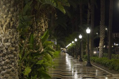 İspanya, Alicante sokaklarından bir gece manzarası