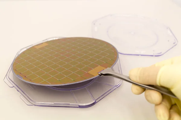 Silicone waffles in a plastic case on the table is take out by hand in a white glove and tweezers — 스톡 사진