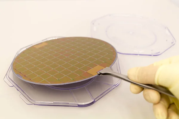 Masanın üzerindeki plastik kutuda silikon waffle beyaz bir eldiven ve cımbızla çıkarılır.