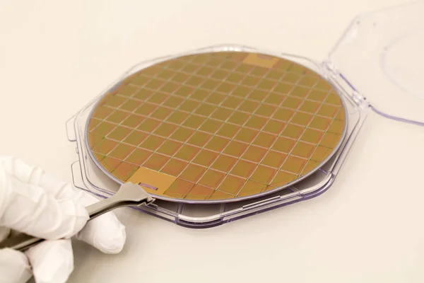 Silicone waffles in a plastic case on the table is take out by hand in a white glove and tweezers — 스톡 사진