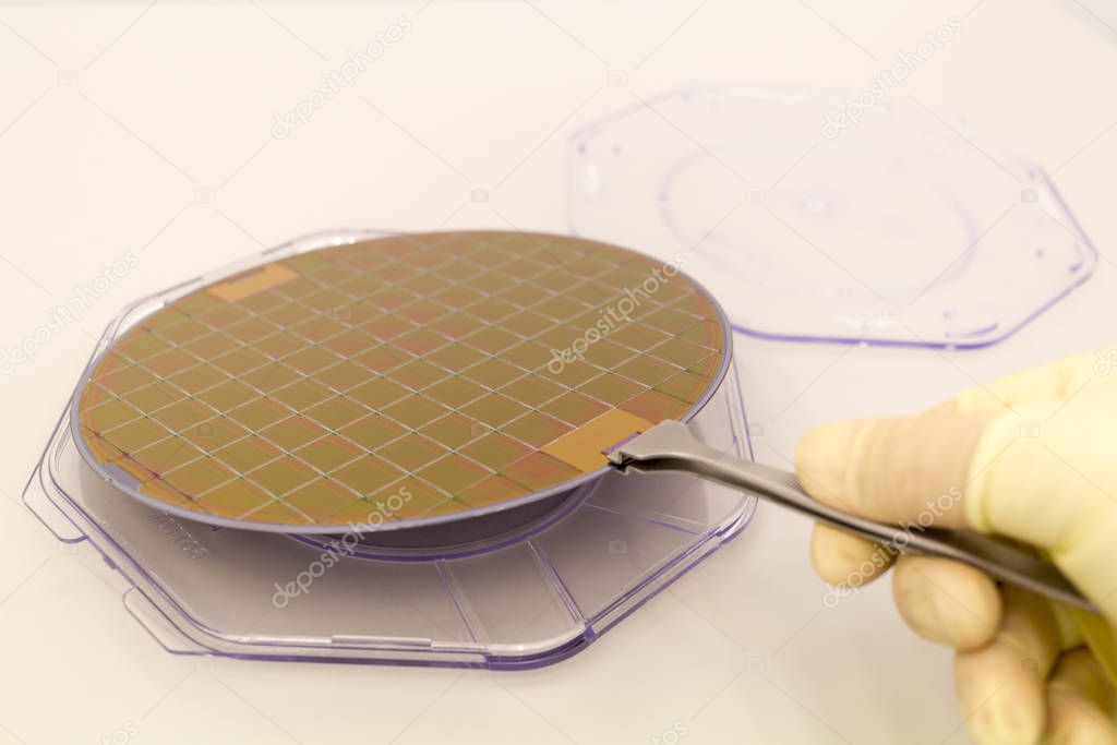 Silicone waffles in a plastic case on the table is take out by hand in a white glove and tweezers