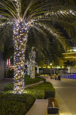 Dubai, Uae - 8 Mart 2019: Dubai Marina palmiyeleri gece aydınlandı