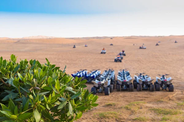 Dubai çölünde dört motorlu safari, Uae