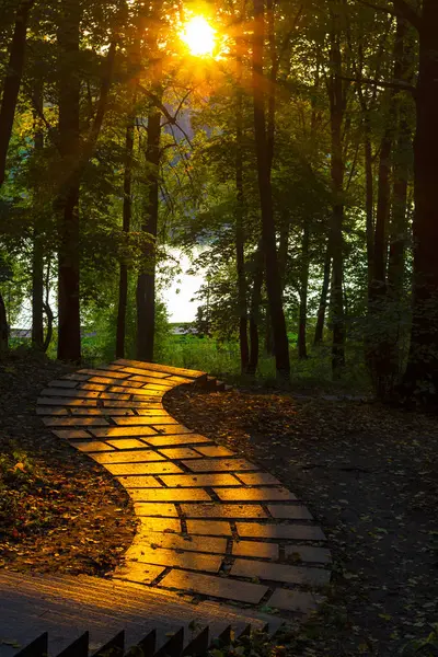 Estrada dourada ensolarada no parque à noite — Fotografia de Stock