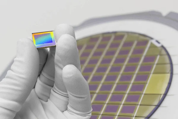 Hand in weißen Handschuh mit Mikrochip-Foto-Sensor-Matrix. Auf dem Hintergrund ist ein gewürfelter Siliziumwafer mit Mikrochips zu sehen. Fokus auf Chip. — Stockfoto