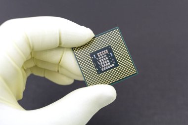 Cpu işlemci mikroçipi tutan sıkı sarı eldiven verin..