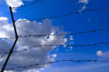Dikenli tel ve mavi gökyüzü. Çapraz dikenli tel ve gökyüzü..
