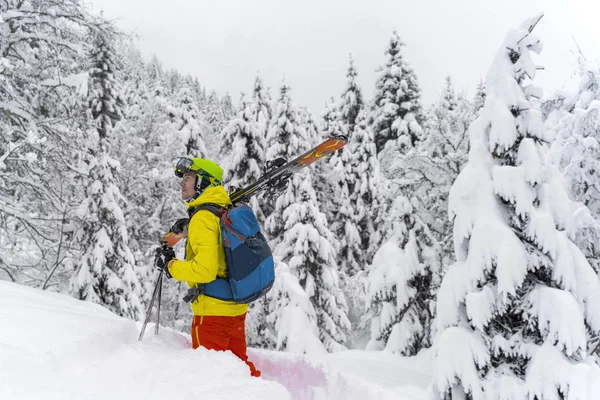 Man in yellow with blue backpack ski stay with many firs around and soft powdery snow. Η backcountry σκιέρ είναι στις Άλπεις Mountain στην Αυστρία. — Φωτογραφία Αρχείου